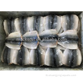 Frozen Fish Pacific Mackerel Flap พร้อมมาตรฐานของสหภาพยุโรป